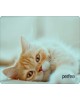 Коврик для компьютерной мыши PERFEO (PF_D0649) 