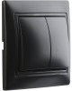 выключатель SMARTBUY (SBE-01b-10-SW2-0-c) Венера, 2-клавишный,черный