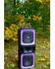 Мидисистема AKSBERRY (6920680858453) AS-24 черный