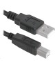 USB кабель DEFENDER (83764) USB04-10 USB2.0 AM-BM, 3.0 м