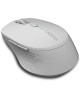 Мышь беспроводная RAPOO M300 Light Grey