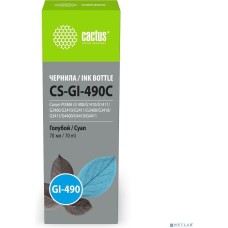 Cactus CS-GI-490C