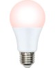 Лампа декоративная светодиодная UNIEL (UL-00003189) для птиц LED-A60-9W/SCEP/E27/FR/DIM IP65 PLO65WH