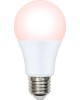Лампа декоративная светодиодная UNIEL (UL-00003189) для птиц LED-A60-9W/SCEP/E27/FR/DIM IP65 PLO65WH