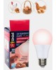 Лампа декоративная светодиодная UNIEL (UL-00003189) для птиц LED-A60-9W/SCEP/E27/FR/DIM IP65 PLO65WH