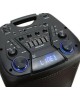 Мидисистема ELTRONIC (20-62) FIRE BOX 1000 - колонка 10