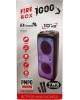 Мидисистема ELTRONIC (20-62) FIRE BOX 1000 - колонка 10