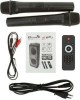 Мидисистема ELTRONIC (20-62) FIRE BOX 1000 - колонка 10