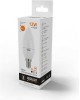 GAUSS Упаковка ламп LED E14, свеча, 12Вт, 10 шт. [33112]