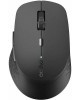 Мышь беспроводная RAPOO M300 Dark Gray