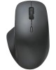 Мышь беспроводная RAPOO M50 PLUS Black