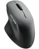 Мышь беспроводная RAPOO M50 PLUS Black