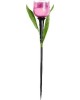Садовый светильник на солнечной батарее UNIEL (UL-00004276) USL-C-451/PT305 PINK TULIP