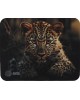 CACTUS Коврик для мыши Leopard рисунок, ткань, 250х200х3мм [cs-mp-d06s]