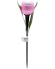 Садовый светильник на солнечной батарее UNIEL (UL-00004276) USL-C-451/PT305 PINK TULIP