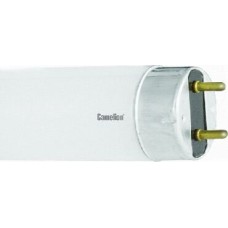 Лампа CAMELION (3008) FT8 30W/54 DAY LIGHT 6500K/30Вт