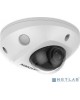 Hikvision DS-2CD2543G2-IS