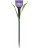 Садовый светильник на солнечной батарее UNIEL (UL-00004278) USL-C-453/PT305 PURPLE TULIP