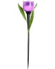 Садовый светильник на солнечной батарее UNIEL (UL-00004278) USL-C-453/PT305 PURPLE TULIP