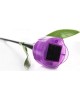 Садовый светильник на солнечной батарее UNIEL (UL-00004278) USL-C-453/PT305 PURPLE TULIP