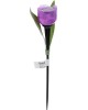 Садовый светильник на солнечной батарее UNIEL (UL-00004278) USL-C-453/PT305 PURPLE TULIP