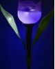 Садовый светильник на солнечной батарее UNIEL (UL-00004278) USL-C-453/PT305 PURPLE TULIP