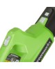 GREENWORKS Воздуходувка 2404807UA, зеленый