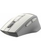 Мышь A4TECH Fstyler FG30 серый/белый оптическая (2000dpi) беспроводная USB
