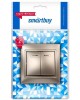 выключатель SMARTBUY (SBE-01c-10-SW2-1-c) Венера, 2-клавишный,шампань