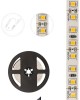 Лента светодиодная LAMPER (141-395) LED лента 5м 12 В, 8 мм, IP23, SMD 2835, 120 LED/m, 12 V, цвет свечения белый (6000 K) LAMPER