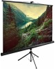 CACTUS Экран 220x220см TriExpert CS-PSTE-220x220-BK 1:1 напольный рулонный черный