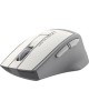 Мышь A4TECH Fstyler FG30 серый оптическая (2000dpi) беспроводная USB