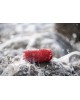 Колонка портативная JBL CHARGE 5 RED красная (JBLCHARGE5RED) [ПИ]