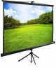 CACTUS Экран 220x220см TriExpert CS-PSTE-220x220-BK 1:1 напольный рулонный черный
