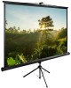 CACTUS Экран TriExpert CS-PSTE-200x200-BK, 200х200 см, 1:1, напольный черный
