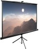CACTUS Экран TriExpert CS-PSTE-200x200-BK, 200х200 см, 1:1, напольный черный