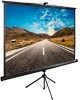 CACTUS Экран TriExpert CS-PSTE-200x200-BK, 200х200 см, 1:1, напольный черный