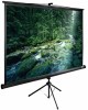CACTUS Экран TriExpert CS-PSTE-200x200-BK, 200х200 см, 1:1, напольный черный