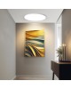 YEELIGHT Потолочный светильник Porch Ceiling Light C400/YLXDD-0154