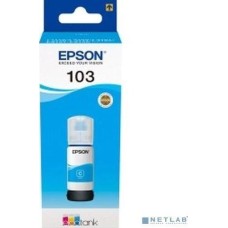 Epson C13T00S24A