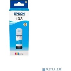 Epson C13T00V298