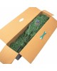 Ель искусственная ROYAL CHRISTMAS Ель DAKOTA REDUCED PVC - 180CM 85180