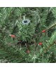 Ель искусственная ROYAL CHRISTMAS Ель DAKOTA REDUCED PVC - 180CM 85180