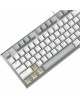 A4TECH Клавиатура Fstyler FS100 Neon, USB, серый + белый