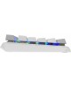 A4TECH Клавиатура Fstyler FS100 Neon, USB, серый + белый