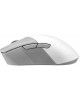ASUS P711 ROG GIII WL AIMPOINT/WHT