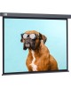 CACTUS Экран Wallscreen CS-PSW-168X299-SG, 299х168 см, 16:9, настенно-потолочный серый