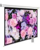 CACTUS Экран 150x240см SIlverMotoExpert CS-PSSME-240X150-WT 16:10 настенно-потолочный рулонный белый (моторизованный привод)