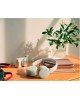 SONY Наушники WH-CH520, Bluetooth, накладные, белый [wh-ch520/w]