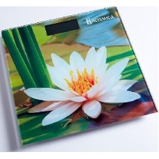 Весы ВАСИЛИСА ВА-4011 
